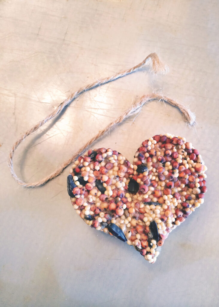 Heart DIY Bird Treats