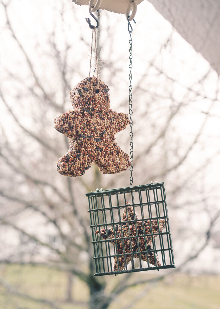 ChristyB:  Homemade Suet Bird Treats