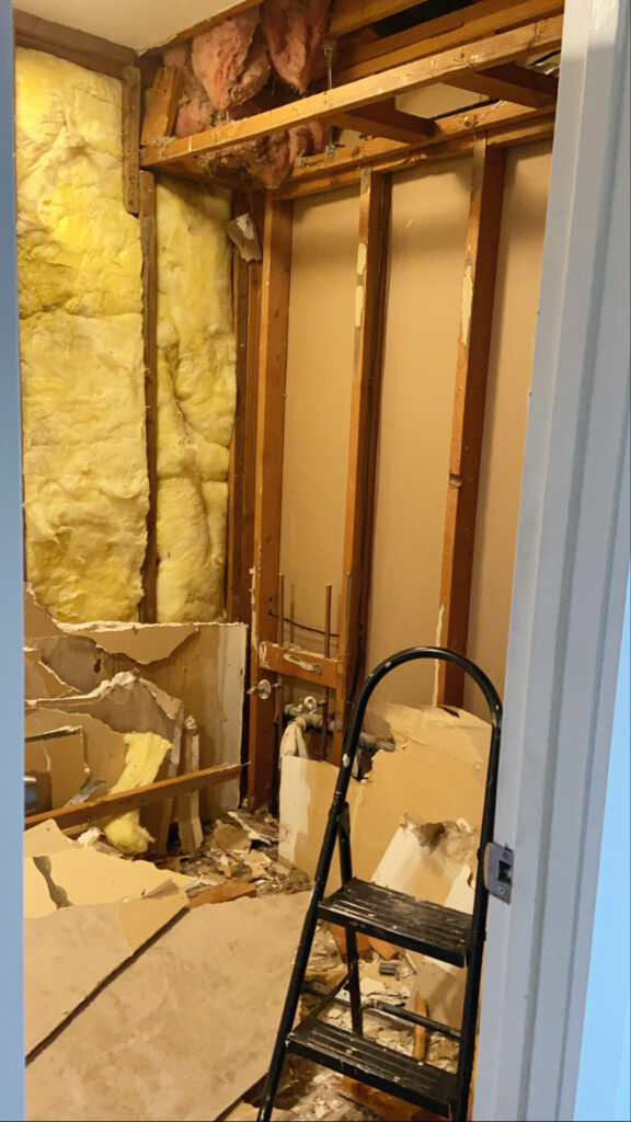 Hall Bath Remodel Demolition