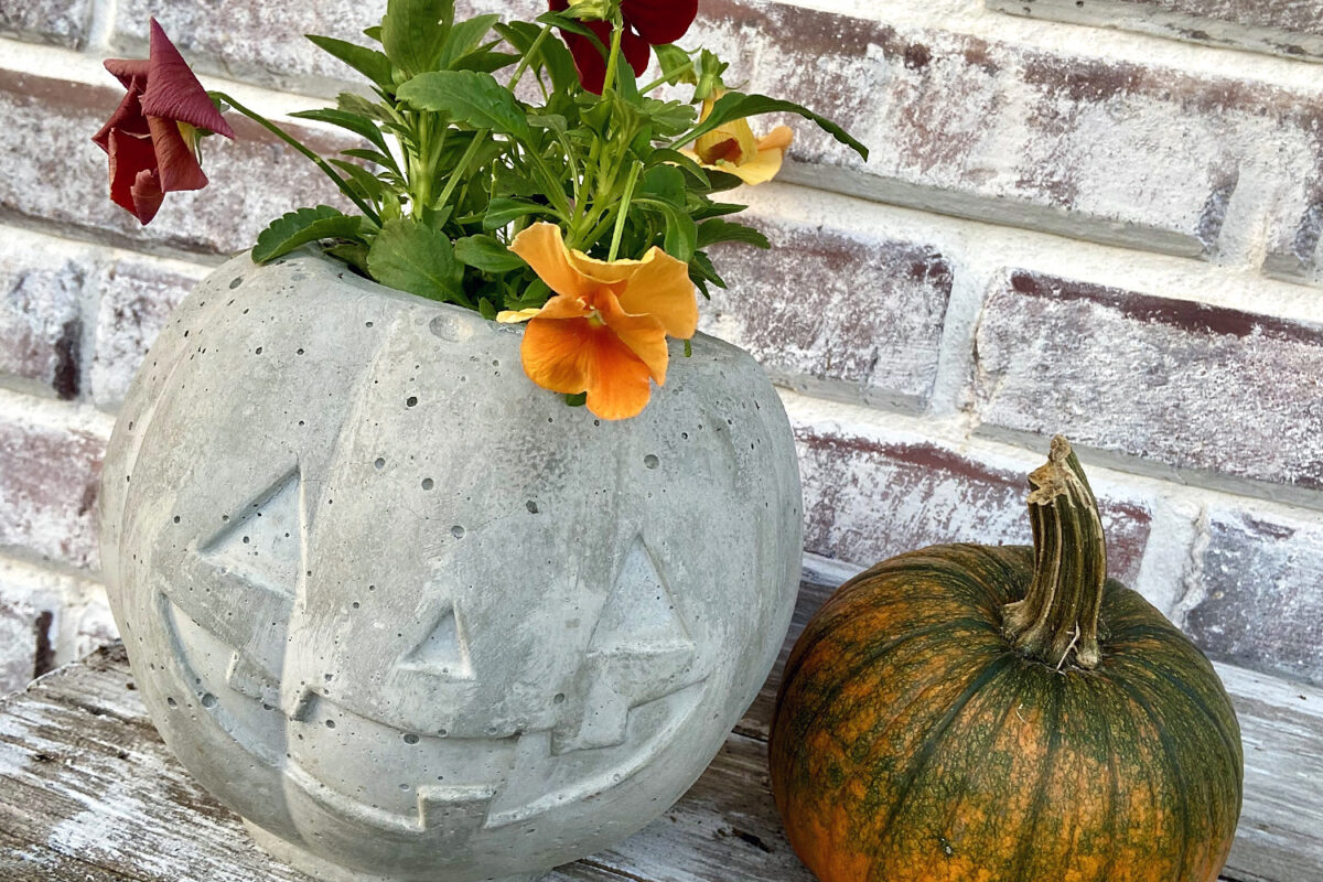 Concrete Pumpkin Planter