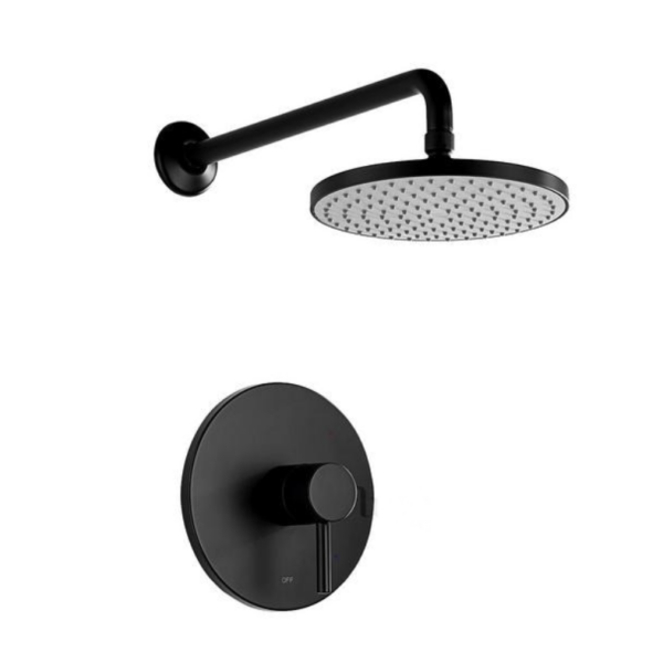 Shower Head - Home Depot