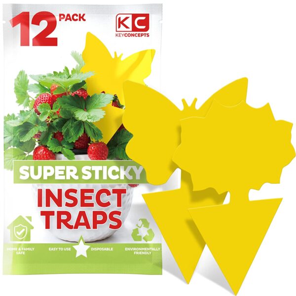 Gnat/Fruit Fly Sticky Traps for House Plants