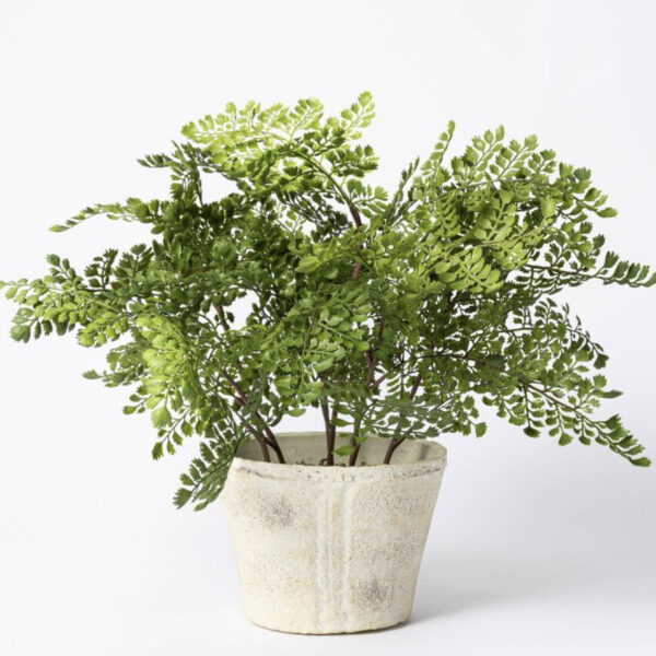 Threshold Artificial Fern Plant