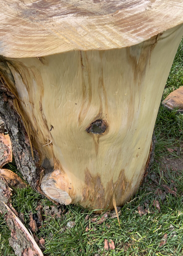 Bark Removed Natural Tree Stump Table DIY