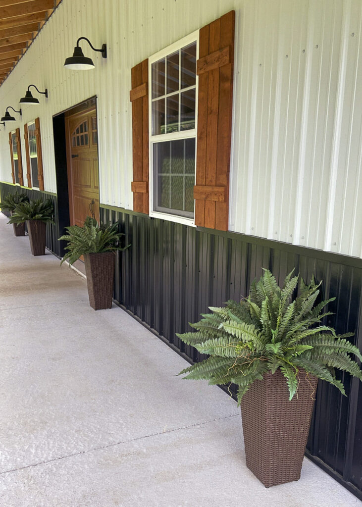 Real vs. Fake:  Outdoor Ferns
