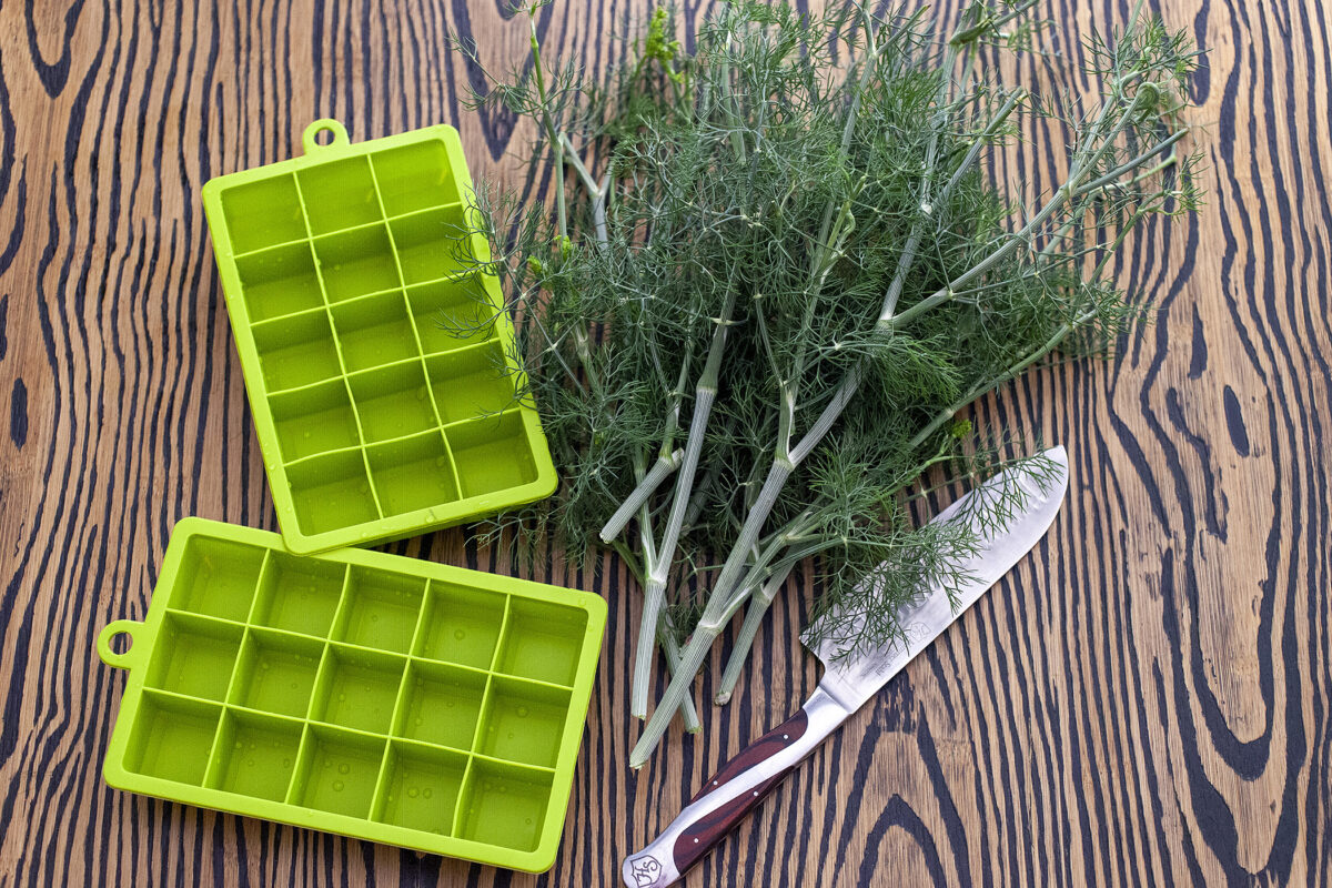How to save fresh dill