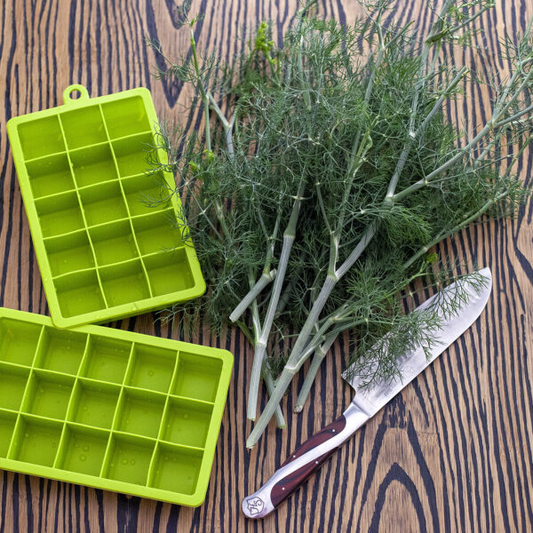 How to save fresh dill