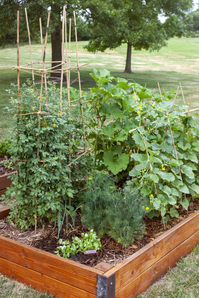 DIY Garden Beds