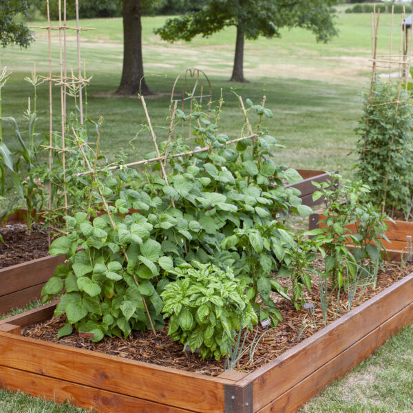 Finished Raised Garden Beds