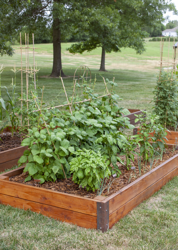 Finished Raised Garden Beds