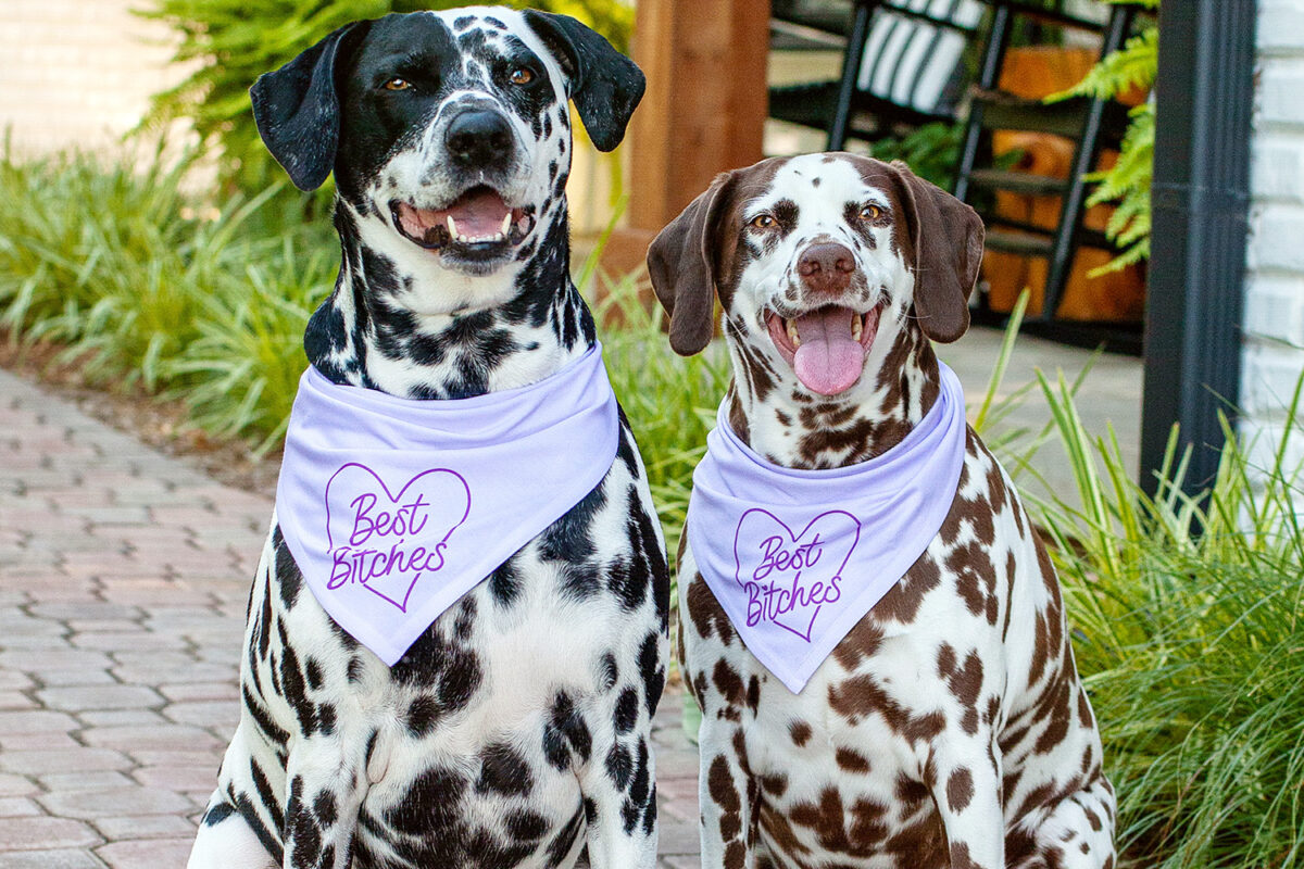 Dalmatians | Ripley and Rue Bandanas