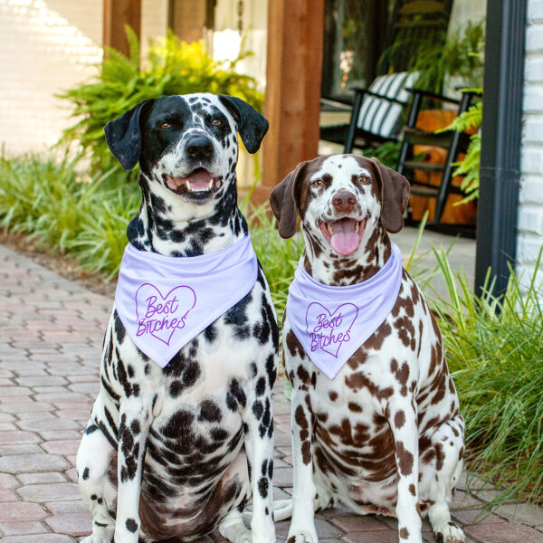 Dalmatians | Ripley and Rue Bandanas