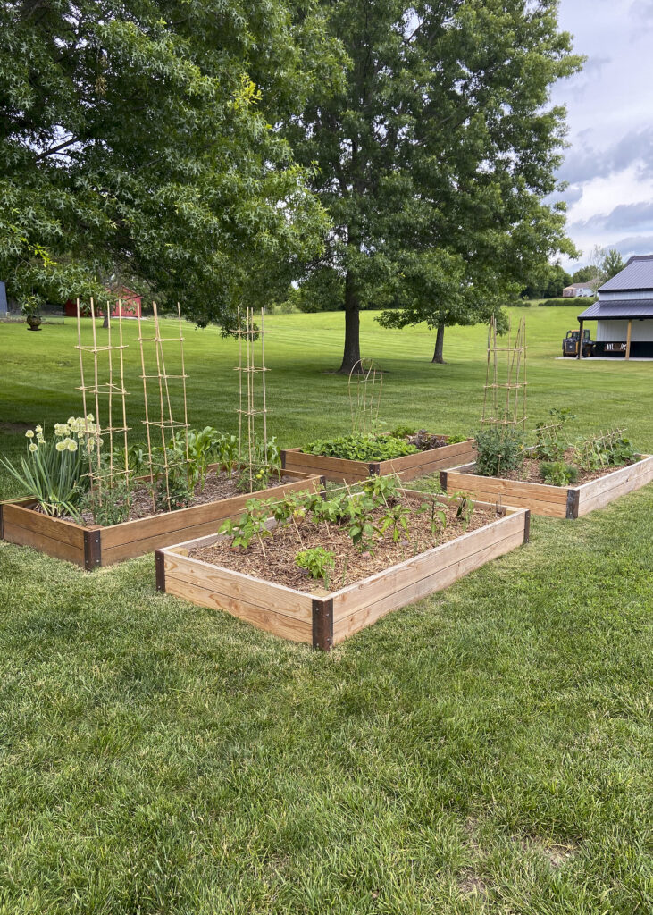 Raised Garden Beds