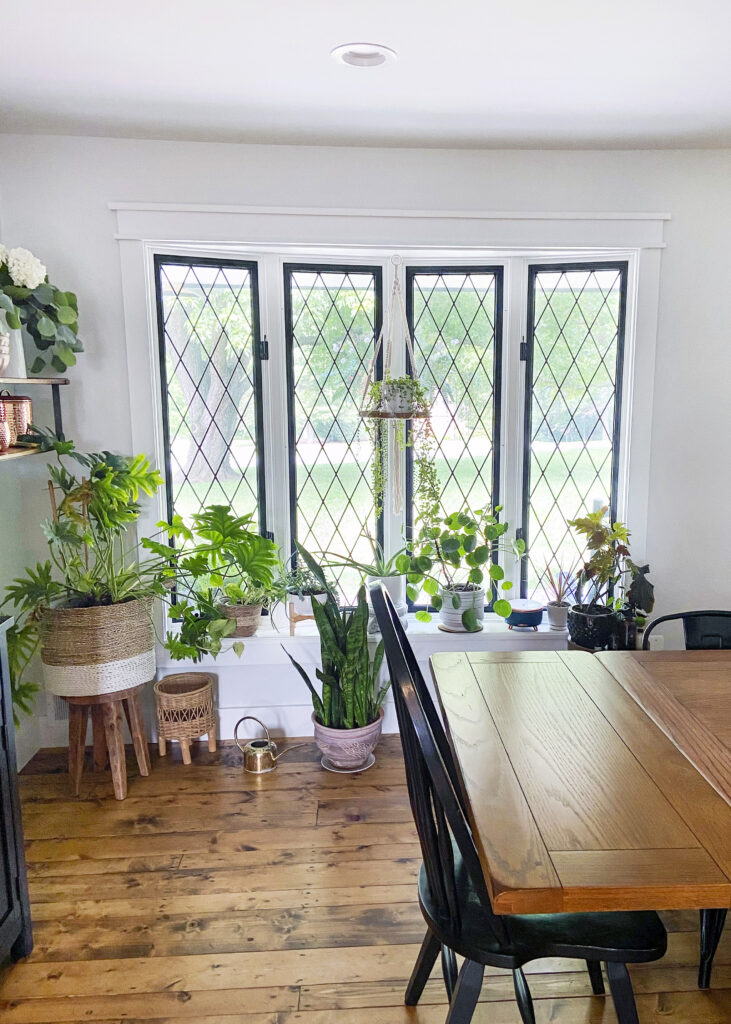 Before: Dining Room Window