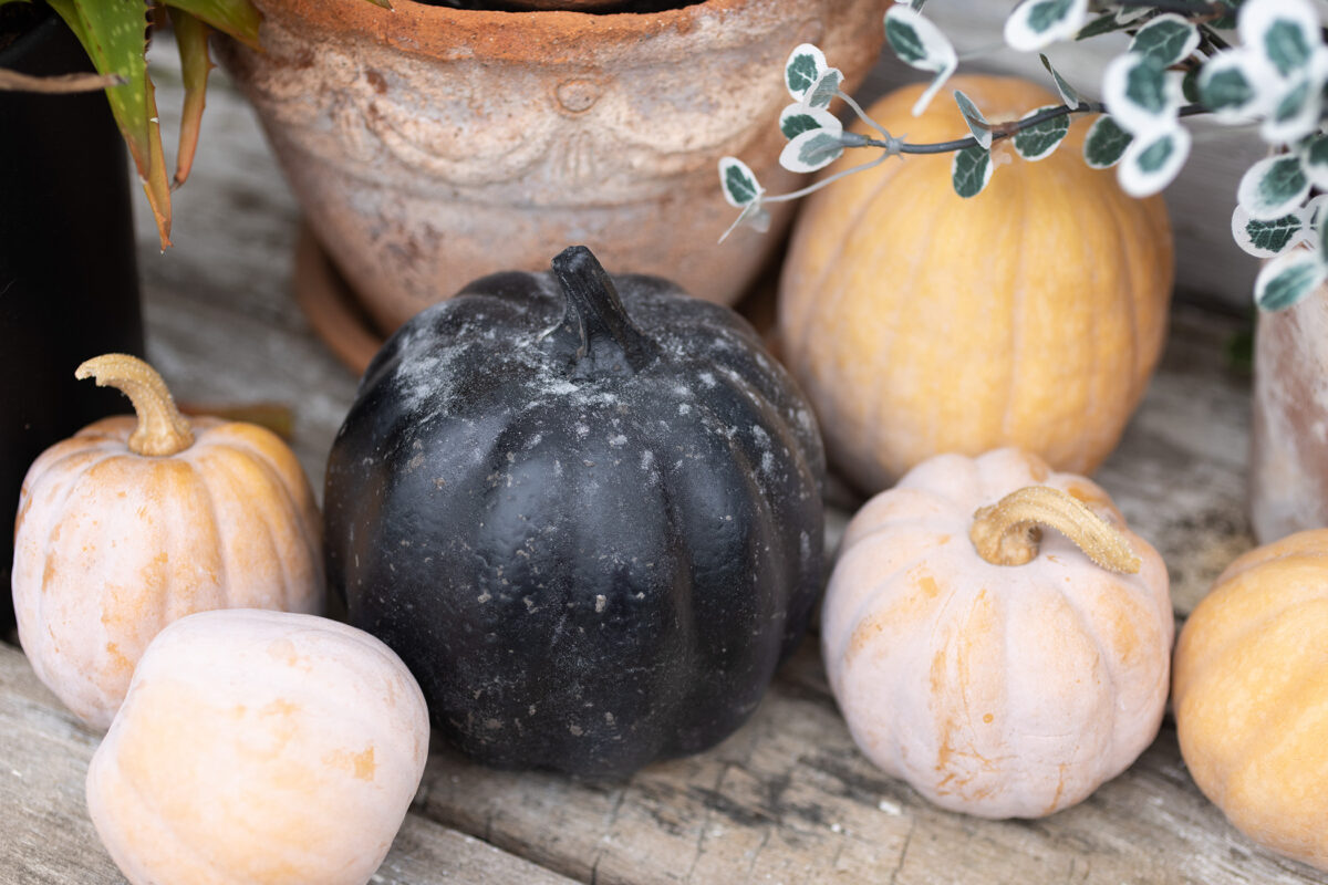 DIY Spray Painted Aged Pumpkin