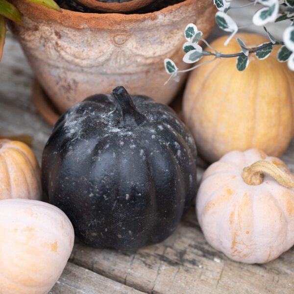 DIY Spray Painted Aged Pumpkin