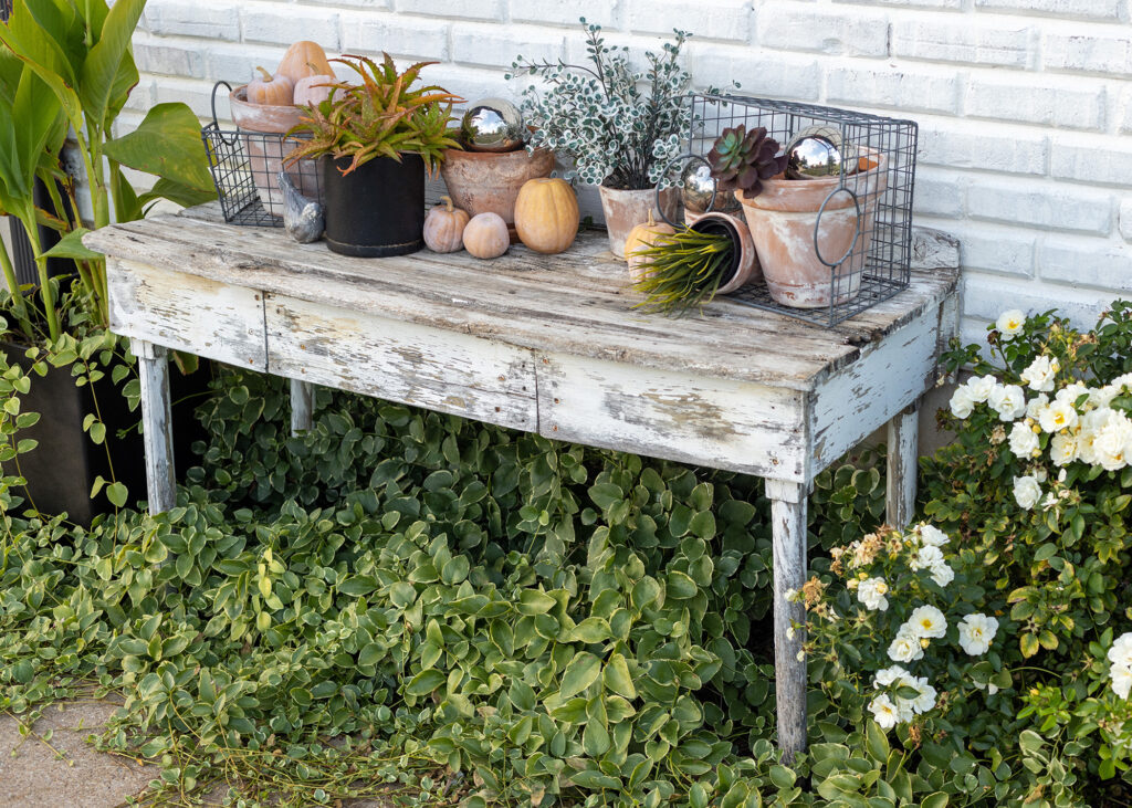 Old Potting Bench