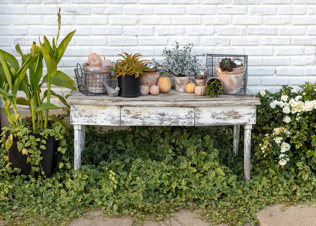 Old Reclaimed Potting Bench