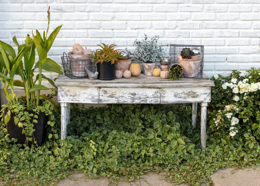 Old Reclaimed Potting Bench