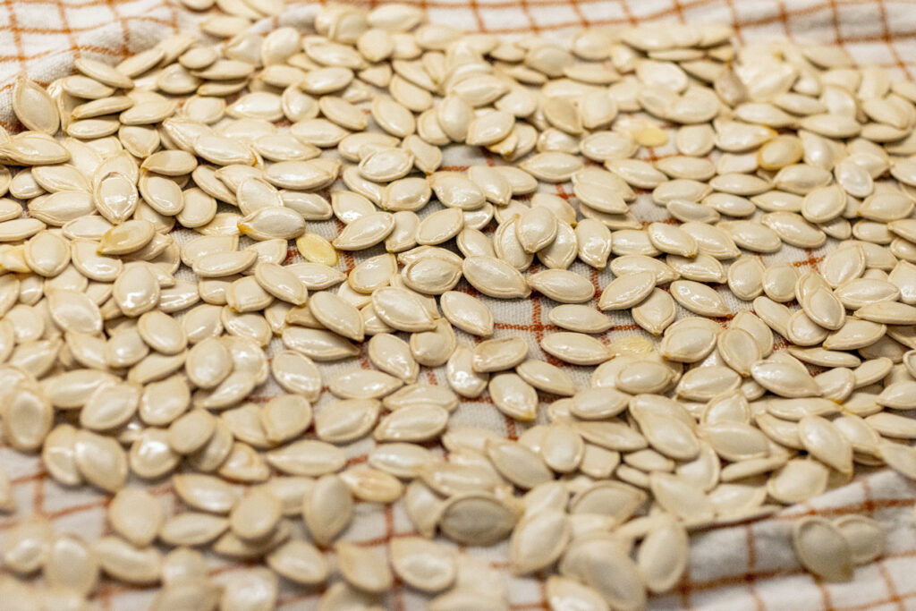 Roasted Pumpkin Seeds Rinsed