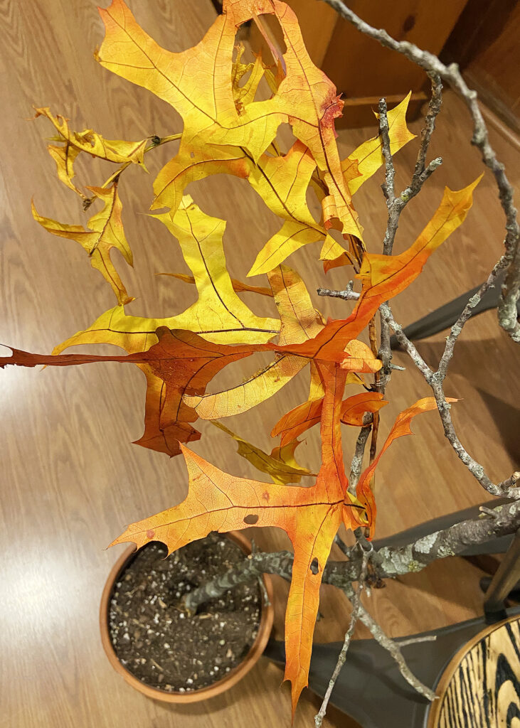 DIY Faux Fall Tree Close-Up