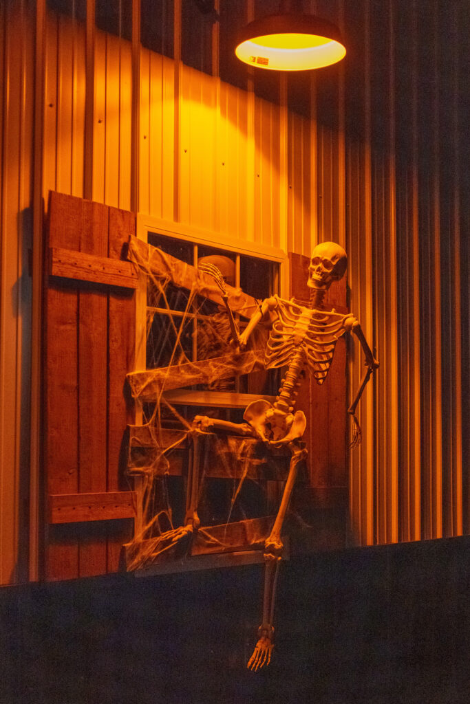 Barn Halloween 2022 Skeletons