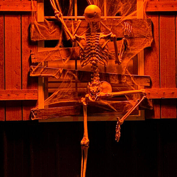 Barn Halloween Skeleton Peeping Tom
