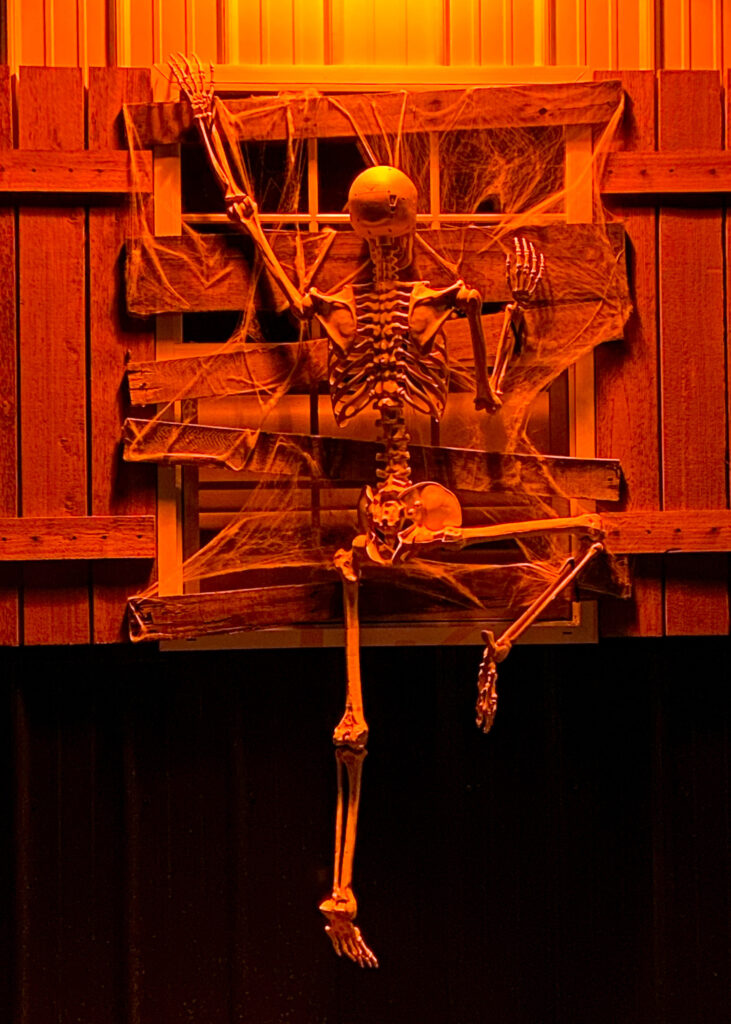 Barn Halloween Skeleton Peeping Tom