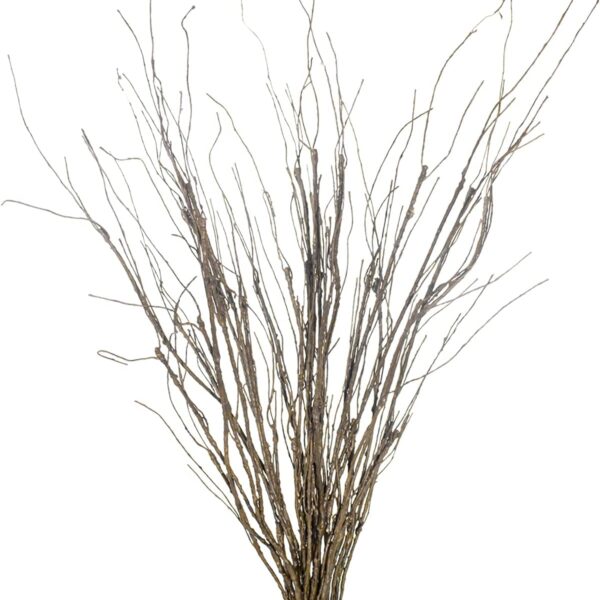 Faux Curly Willow Branches Stems