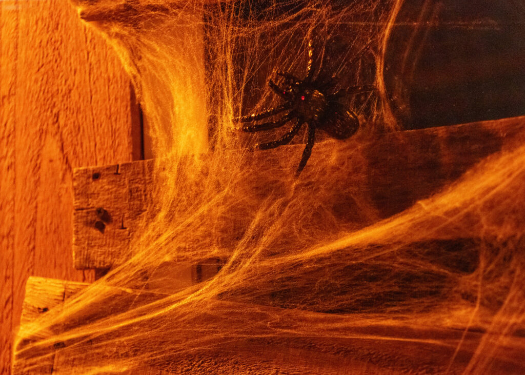 Halloween Barn Spider
