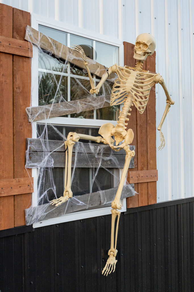 Halloween Skeleton on Barn