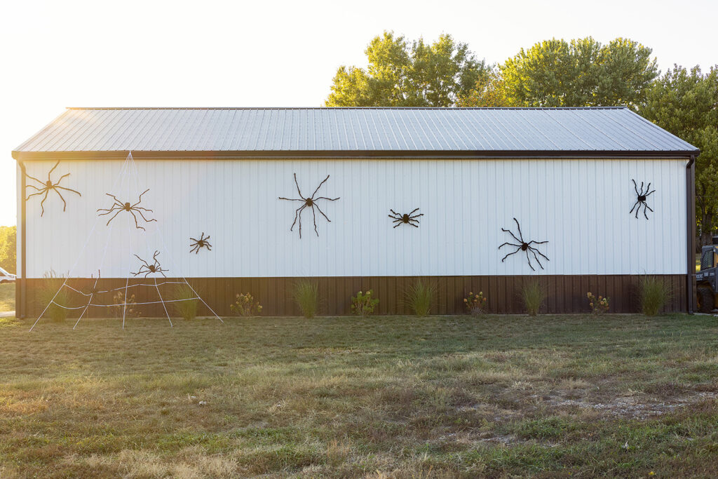 Halloween Spooky Spider Wall
