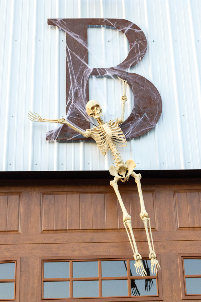 Hanging Barn Skeleton