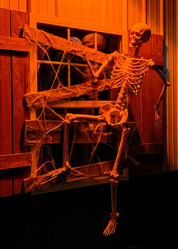 Hanging Skeletons Halloween