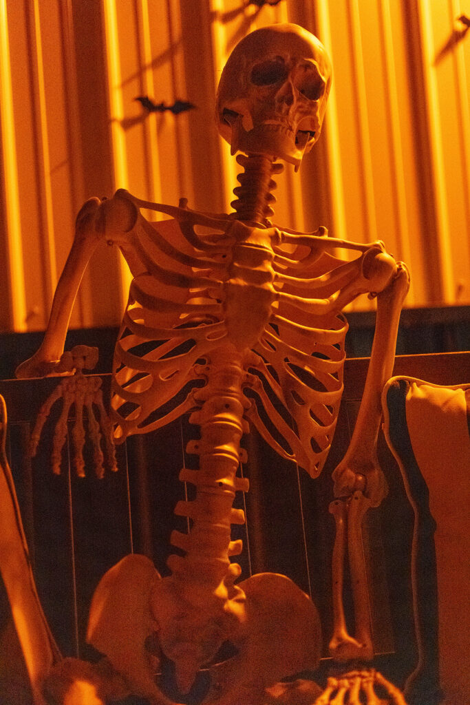Skelly Skeleton