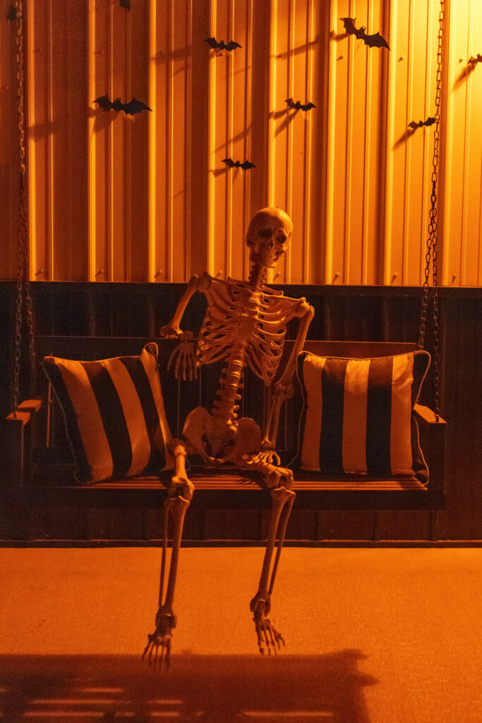 Skelly on a Swing