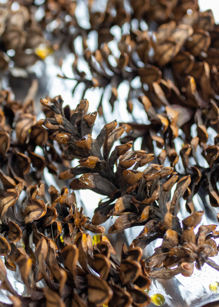 How to Dry Pinecones for Decor