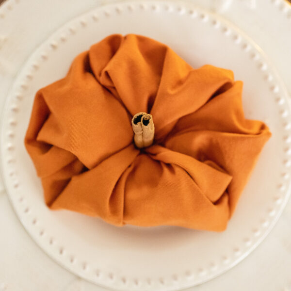 Pumpkin Napkin DIY