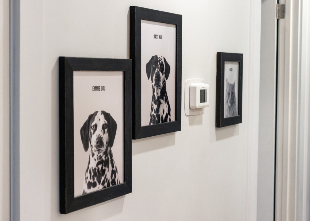 Pet Photo Wall