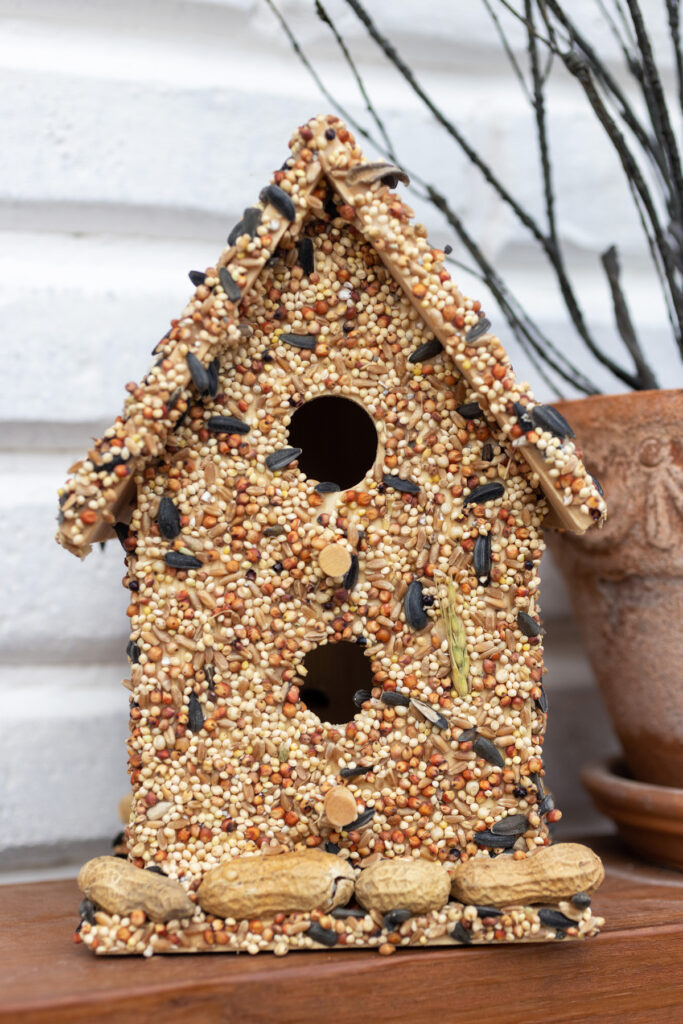 Bird Bed and Breakfast