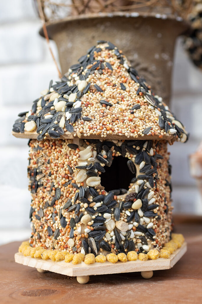 Edible Winter Birdhouse