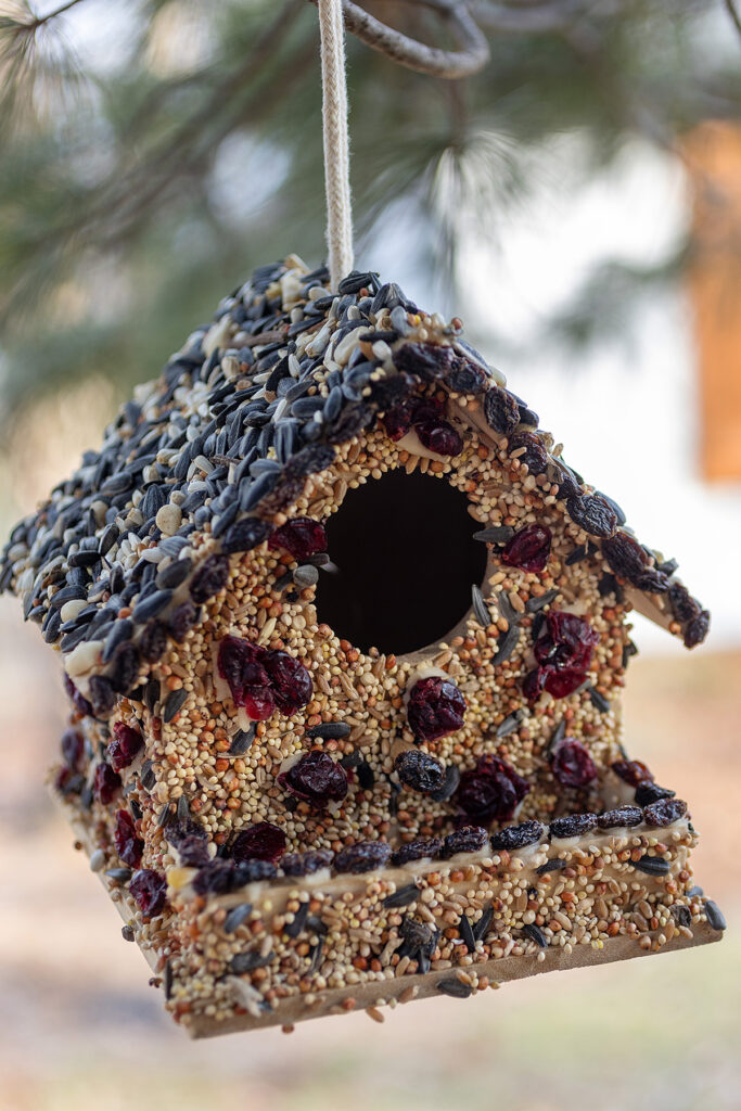 Winter Birdseed Birdhouse