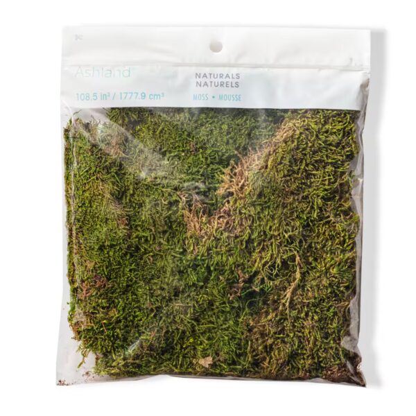 Preserved Moss