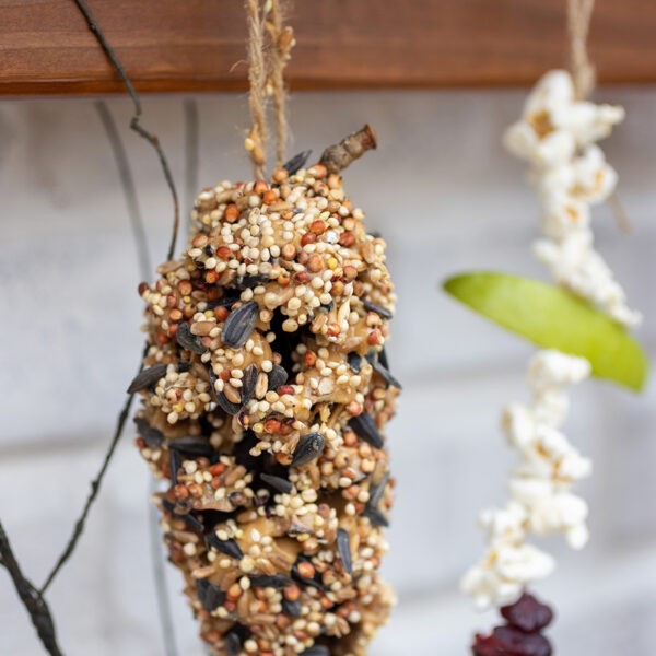 Peanut Butter Birdseed Pinecones: How-To