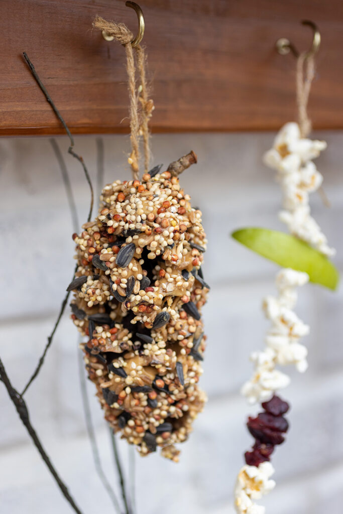 Peanut Butter Birdseed Pinecones: How-To