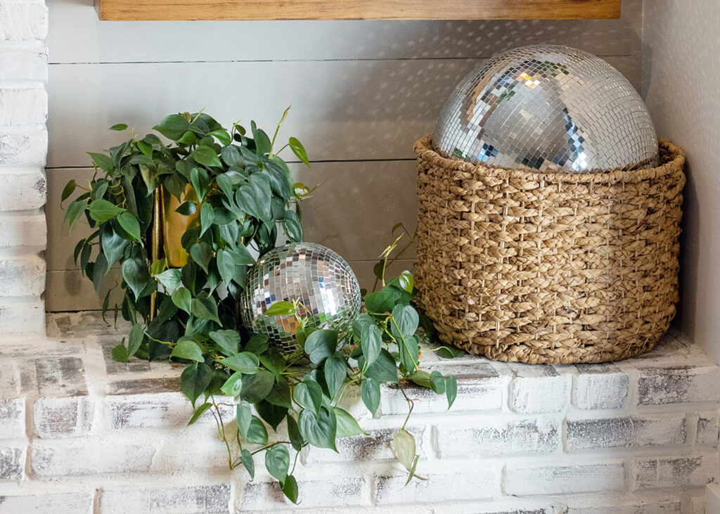 Philodendron House Plant with Disco Balls