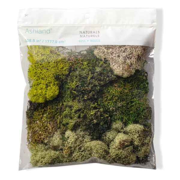 Moss Variety Pack
