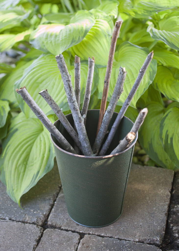 Sticks for DIY Garden Markers