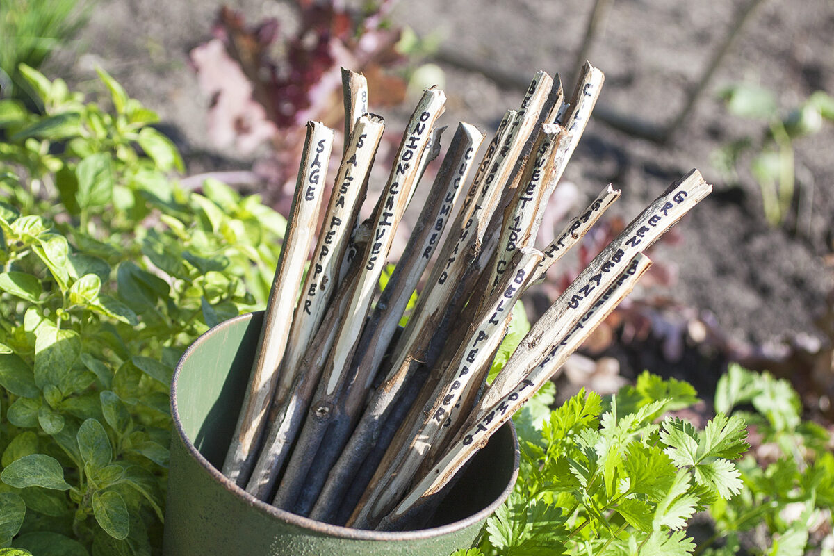 Garden DIY Plant Markers