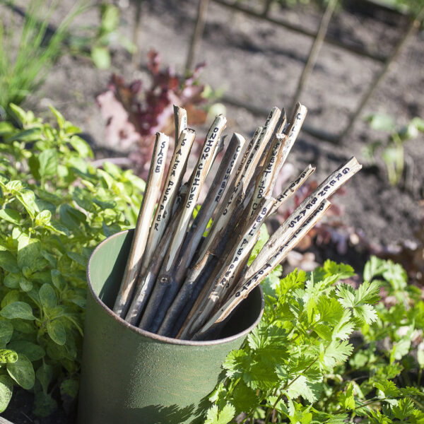 Garden DIY Plant Markers